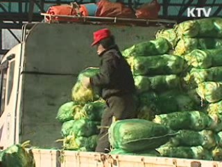가격안정 위해 배추·무 10만t 시장격리