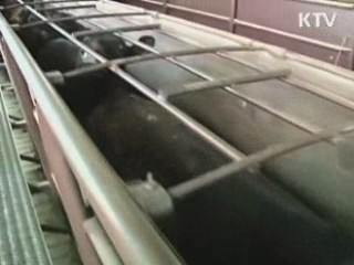 BSE 조사단, 美 가축 처리장 방문