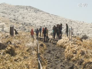 제주서 '살인 진드기' 의심환자 발생