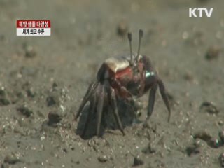 우리 연안 생물 다양성 '세계 최고'