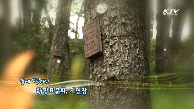 KTV 100년의 행복, 희망 대한민국 + (198회)