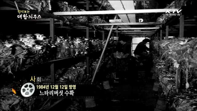 다시보는 대한늬우스 (84.12.12) 이미지