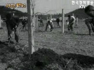 일하는 농촌('71) 이미지