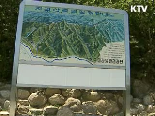 국립공원 불법행위 '2진 아웃' 도입