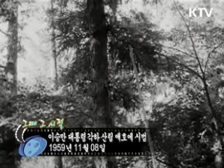 역사 속 오늘 (11.08) [다시 보는 대한늬우스]