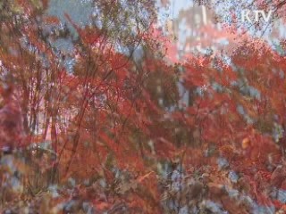 국립공원 급경사·계단없는 탐방로