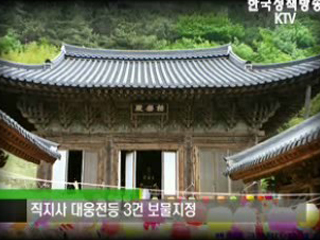 플러스 덤