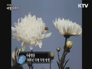 다시보는 대한늬우스 (86.10.10) 이미지