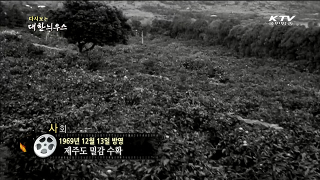 다시보는 대한늬우스 (69.12.13) 이미지