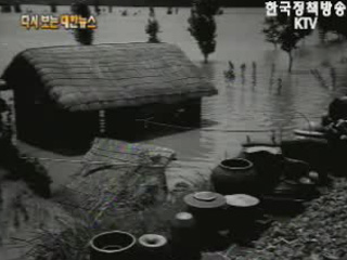 제4호 태풍 셰리호, 남부지방에 홍수 피해(`63) 이미지