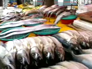 추석 수산물 값 하향 안정세 유지 전망