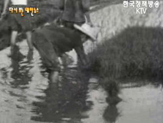 풍년을 바라며(`64) 이미지