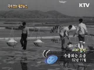 수출되는 소금(62‘) 이미지