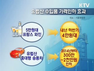 한EU FTA 손익계산서