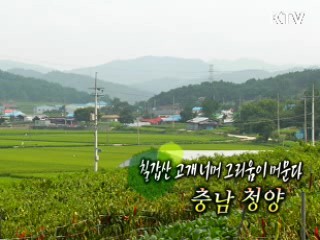 칠갑산 고개 너머 그리움이 머문다 - 충남 청양