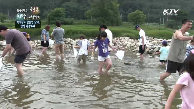 KTV 100년의 행복, 희망 대한민국 + (167회)