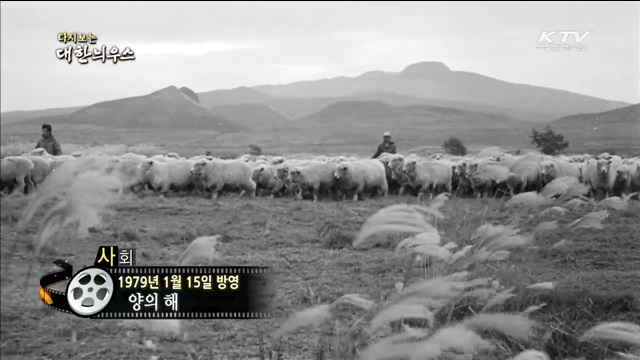 다시보는 대한늬우스 (79.01.15) 이미지