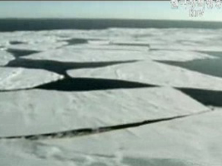 남극 연구 `본격화`