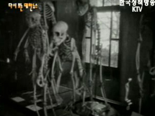 공개된 동물 표본(`58) 이미지