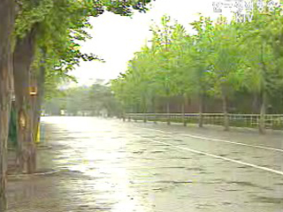 기상청 연결 - 이 시각 기상상황