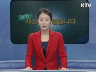 외교부 "대기업 규제정책, 한미FTA 위반 안돼"