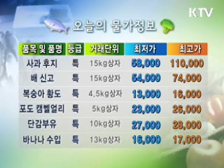 알뜰장보기 물가정보