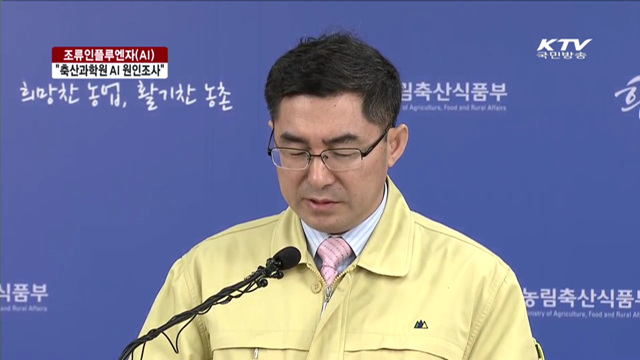 희망의 새시대 (186회)