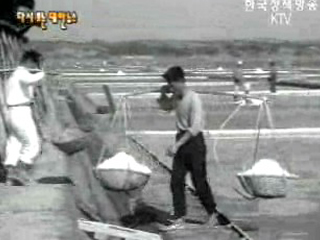 수출되는 소금(`62) 이미지