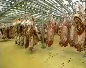 미국산 쇠고기 수입부위 확정