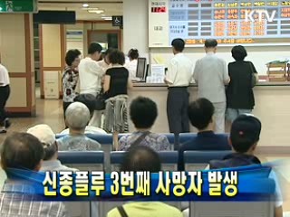 신종플루 3번째 사망자 발생