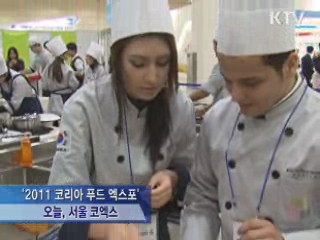 '한식을 세계로' 국내 최대 엑스포 개막