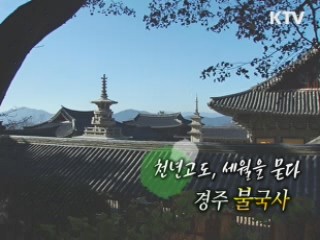 천년고도, 세월을 묻다 - 경주 불국사