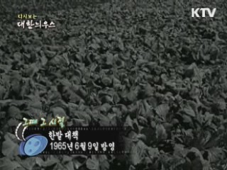 다시보는 대한늬우스 (65.06.09) 이미지