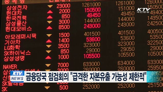 금융당국 점검회의 "급격한 자본유출 가능성 제한적"