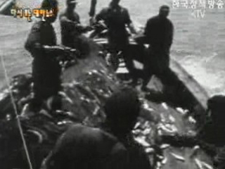 남해안 풍어 - 흑산도 조개잡이(`66) 이미지