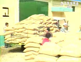 농림부 FTA - 시장개방 피해 최소화