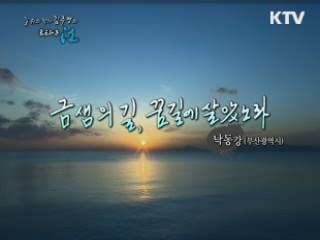 금샘의 길, 꿈길에 살았노라 - 낙동강 (부산광역시)