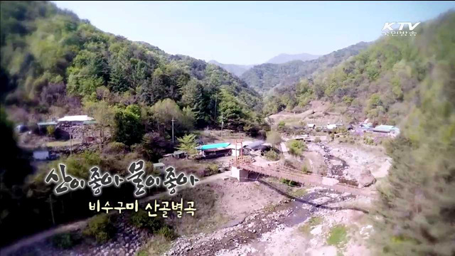 비수구미 산골별곡