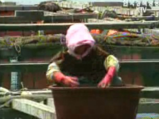 FTA 피해 보전 수산직불제 도입