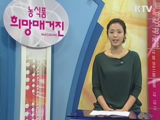 막걸리의 세계화