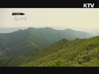 구름위의 산책 - 설악산 외설악