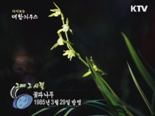 다시보는 대한늬우스 ('85.03.29) 이미지