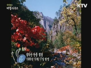 다시보는 대한늬우스 (86.10.17) 이미지