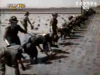 여군 모내기 및 직장예비군 일일입소(`72) 이미지