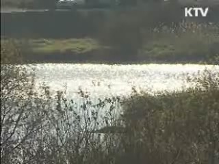 수질개선- 생태복원 1000일간 대역사