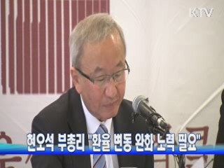 현오석 부총리 "환율 변동 완화 노력 필요"