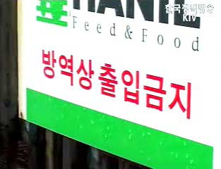 ‘조류인플루엔자’ 농림부 전화연결