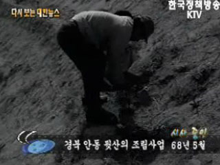 경북 안동 뒷산의 조림산업('68) 이미지