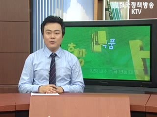 김장 배추 수급 안정 대책