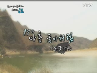 물길 위 아홉 굽이처럼 - 낙동강(안동시)